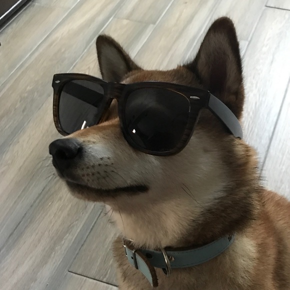 Meet your Posher, Randy - Picture 1 of 1